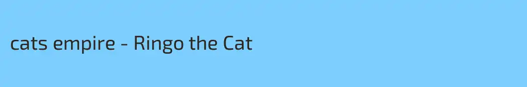 cats empire - Ringo the Cat